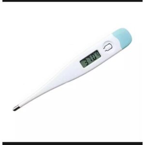 Digital Thermometer